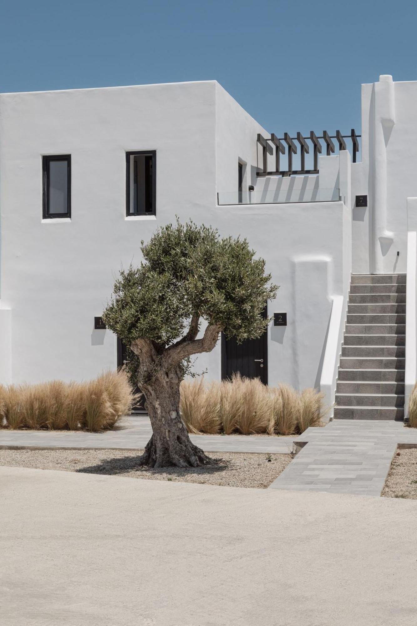Laguna Suites In Mazera Mykonos Mykonos Town Eksteriør bilde